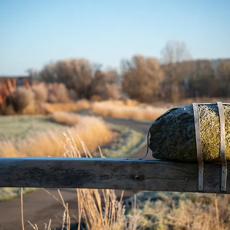 בית נופש Hans Albers 09