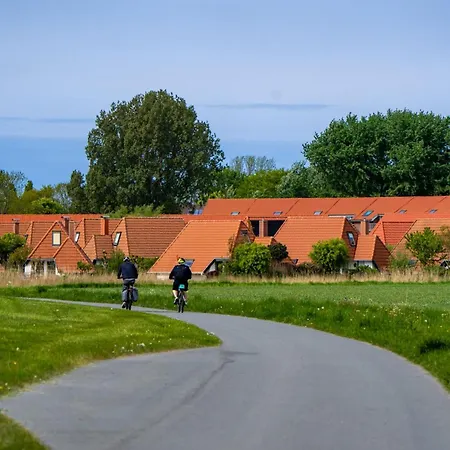 Hans Albers 09 בית נופש *